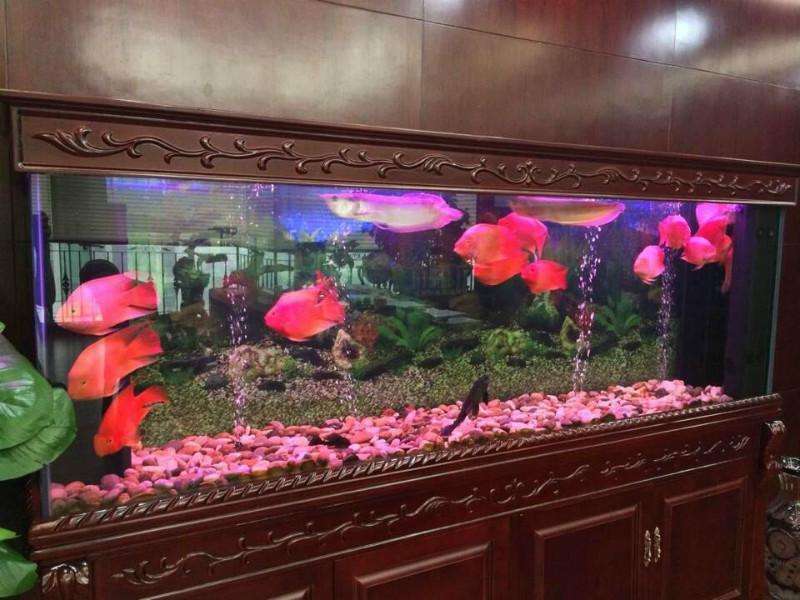 客厅鱼缸摆放风水有哪些 客厅鱼缸的摆放讲究